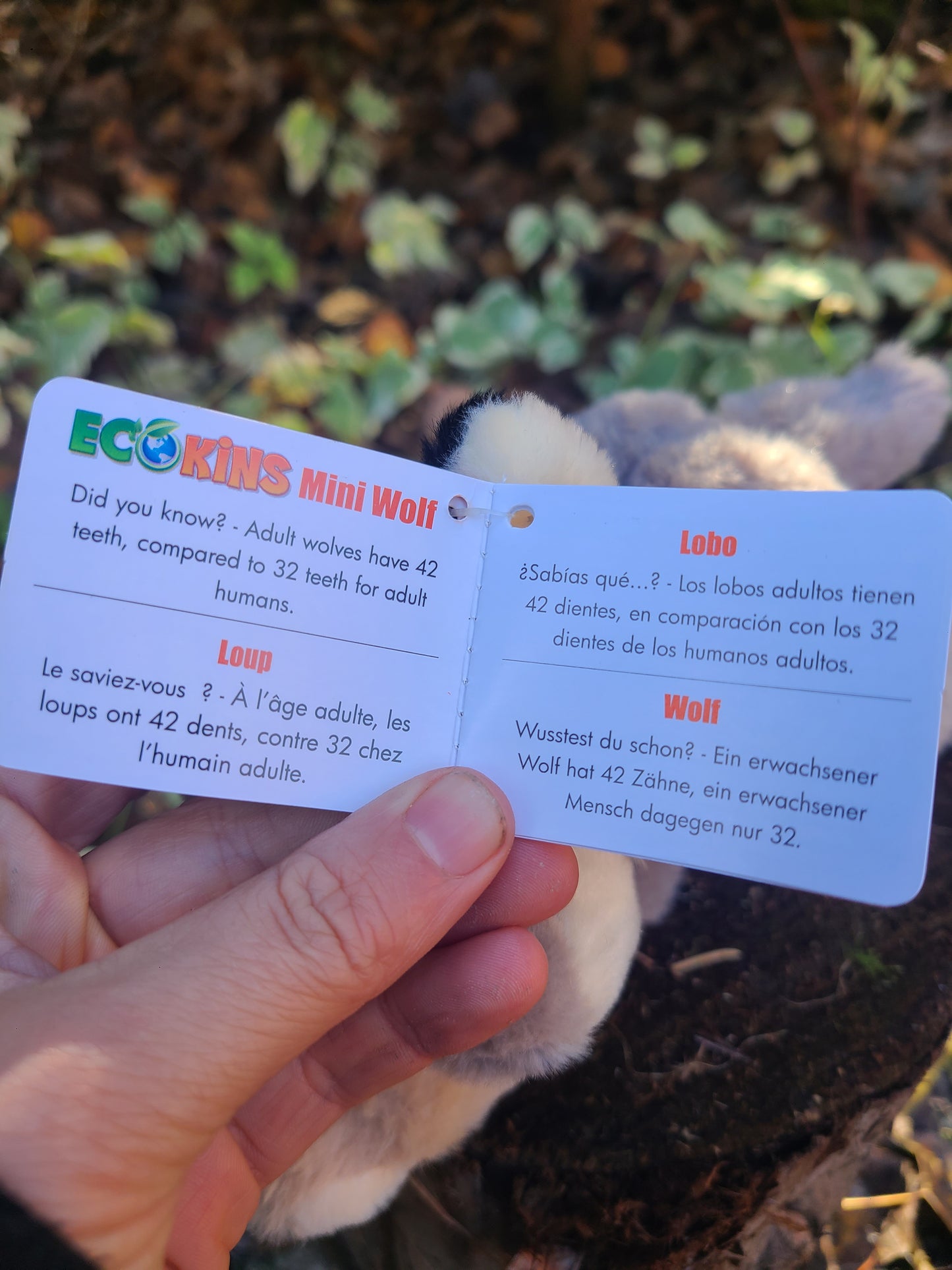 Small Ecokins Wolf Plush