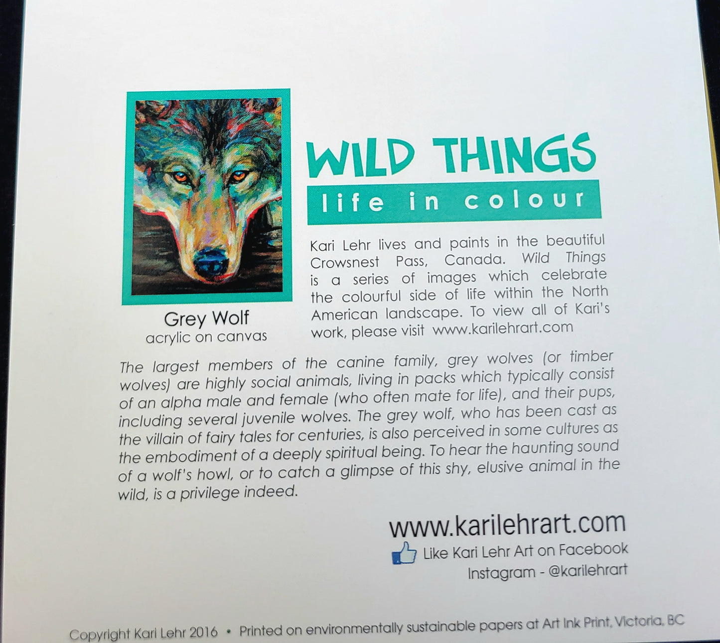 11" x 14" Flora Print by Kari Lehr