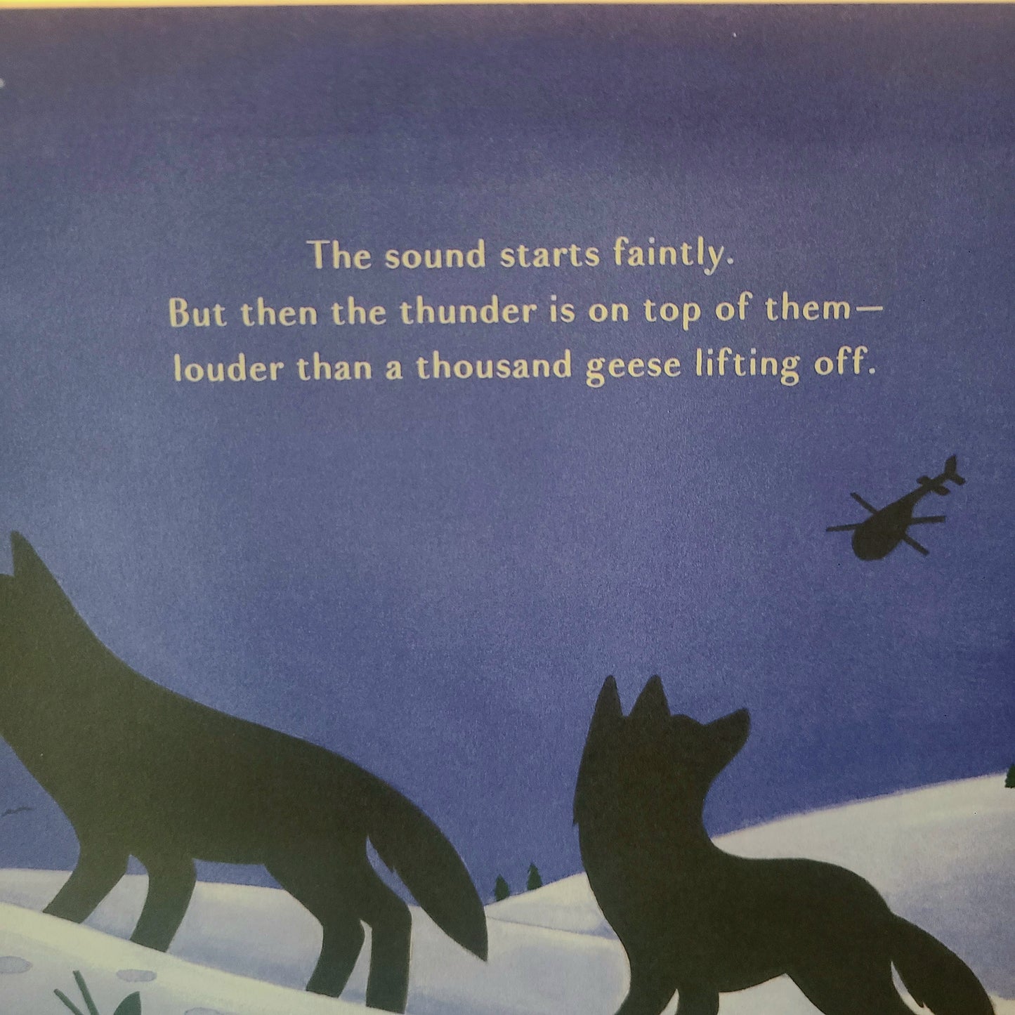 Spur: Die Geschichte eines Wolfes