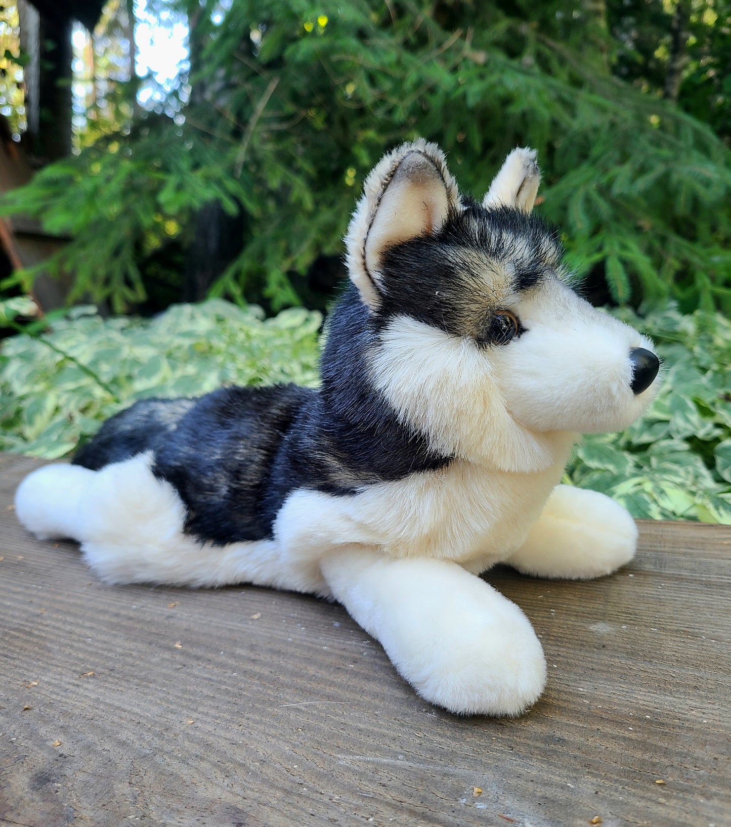 Douglas Wolf Plush - Laying Down