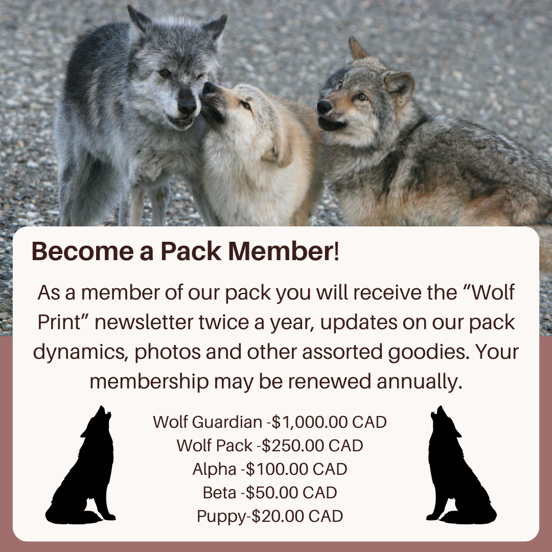 Mitgliedschaft / Sponsoring eines Wolfsrudels