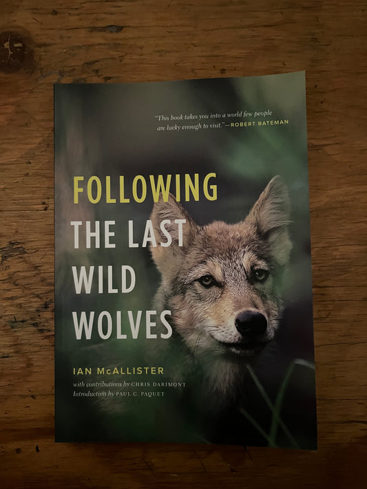 Following The Last Wild Wolves