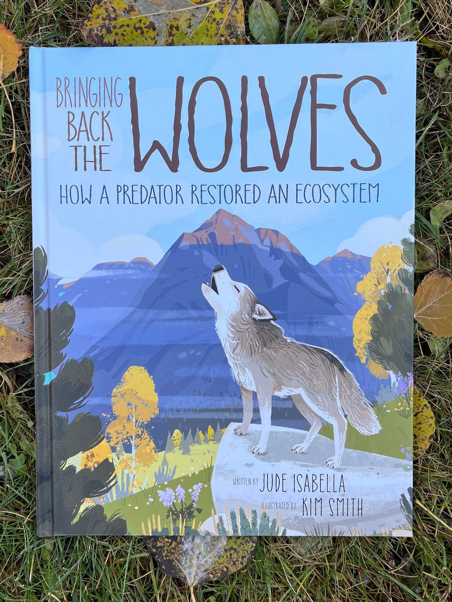 Bringing Back The Wolves: How a Predator Restored an Ecosystem