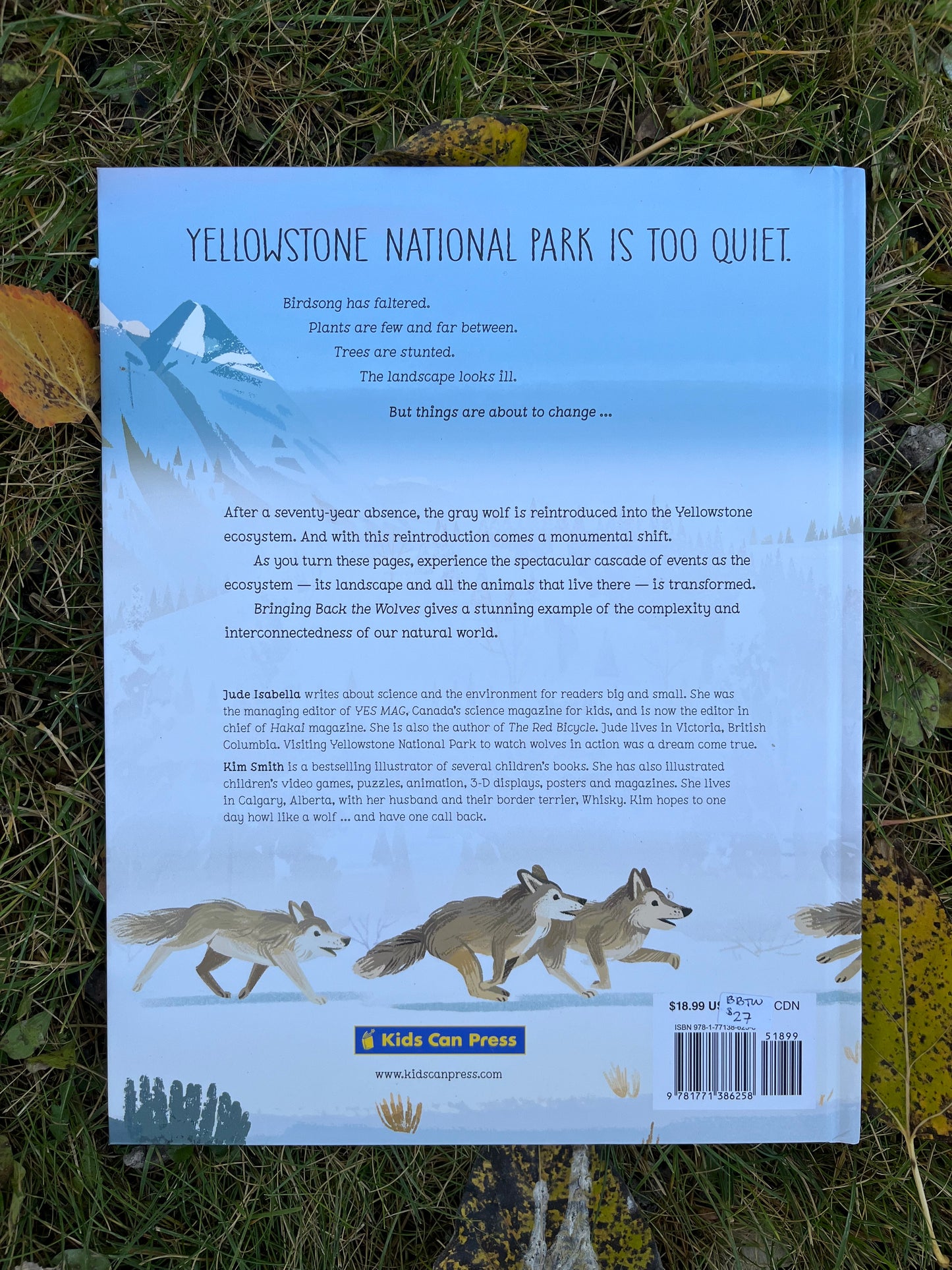 Bringing Back The Wolves: How a Predator Restored an Ecosystem