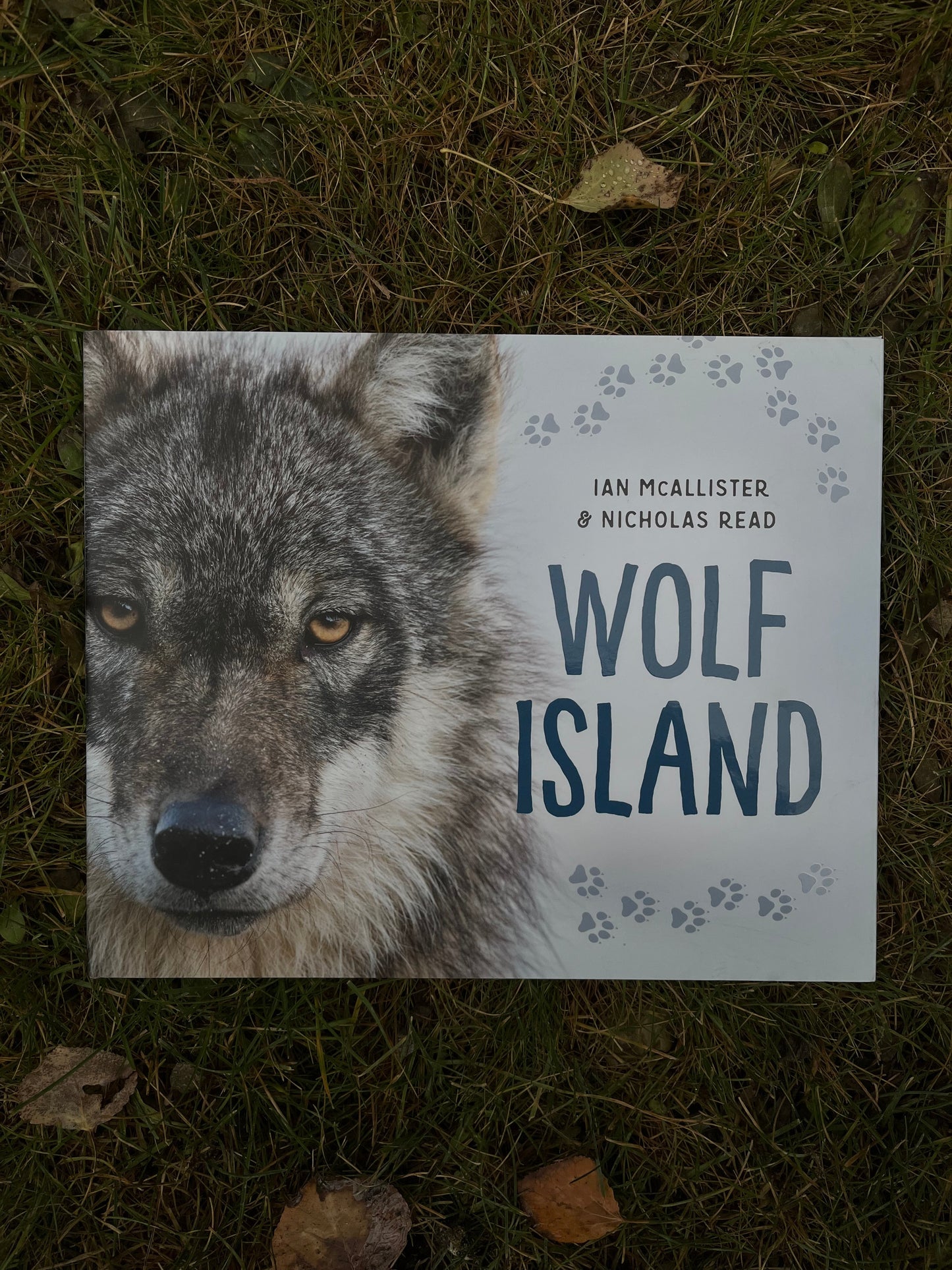 Wolf Island