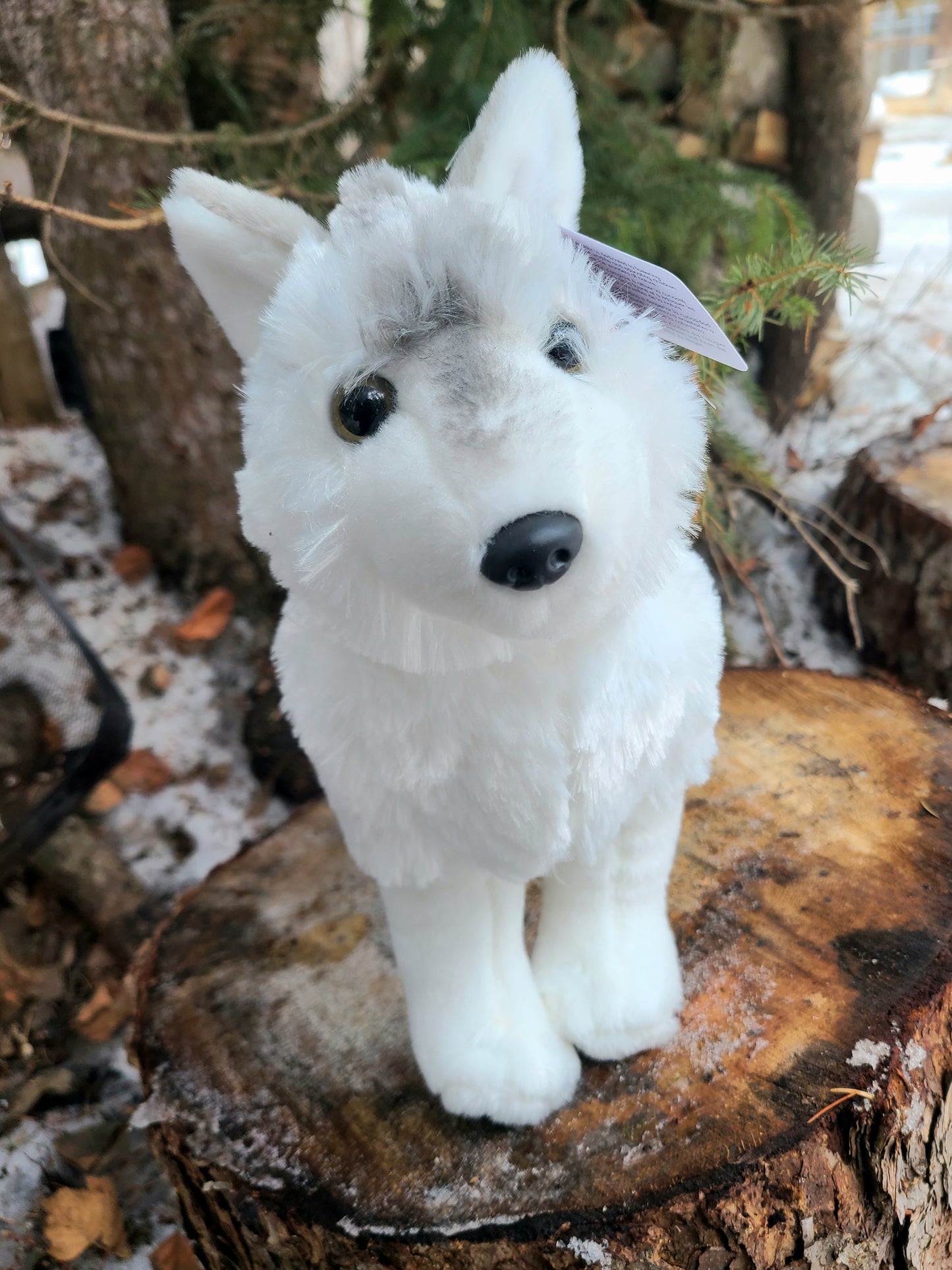 White Wolf 'Flora' Plushie - Wild Republic