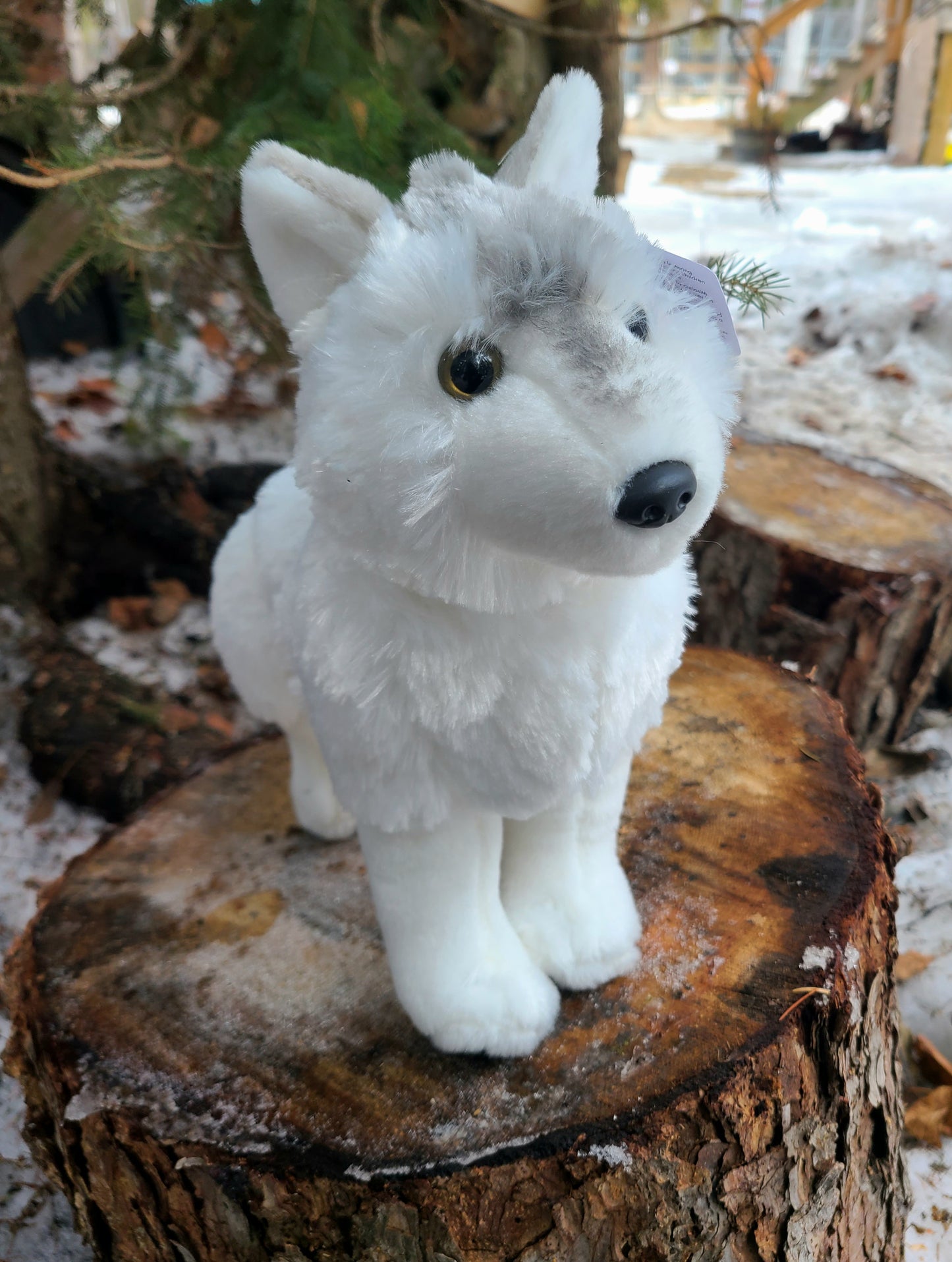 White Wolf 'Flora' Plushie - Wild Republic